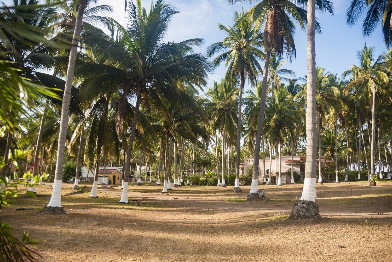 LOTE 15 LAS TORTUGAS Galvan Real Estate