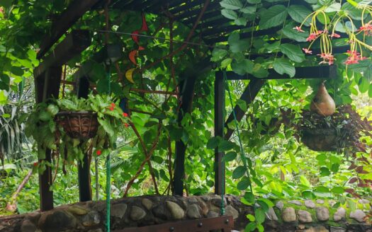 HACIENDA VILLA BELLA Punta El Custodio