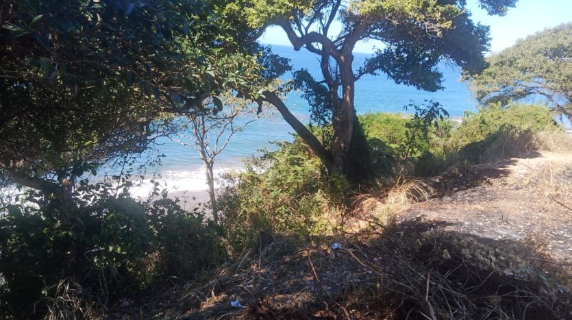 LOT VISTA OCEANA
