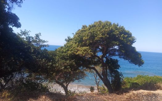 LOT VISTA OCEANA