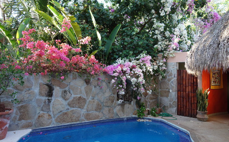 CASA COLIBRI Punta El Custodio
