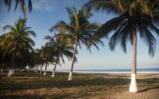 LOTE 15 LAS TORTUGAS