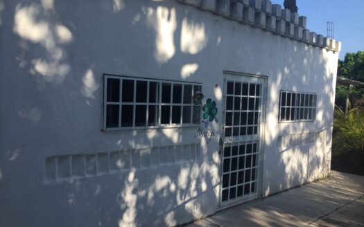 CASITA MANGO