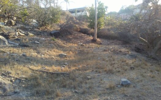 LOT CAROLINA – PARCEL 1