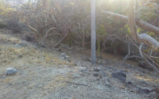 LOT CAROLINA – PARCEL 3