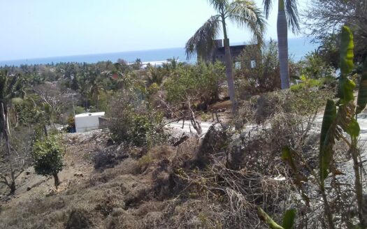 LOT CAROLINA – PARCEL 1