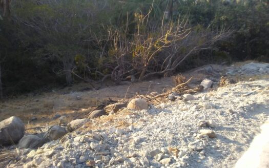 LOT CAROLINA – PARCEL 2