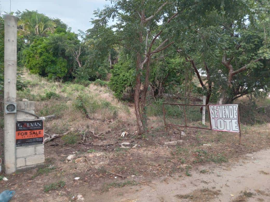 Lote Munoz