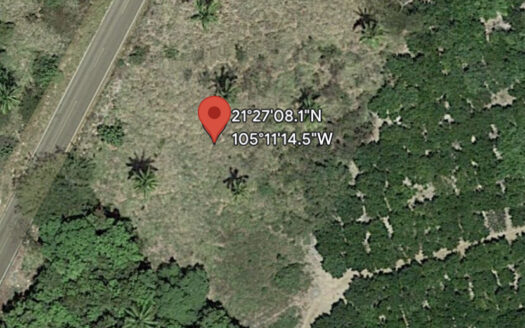 LOTE VISTA LA MANZANILLA