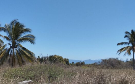 LA MANZANILLA LOT – LOT 40