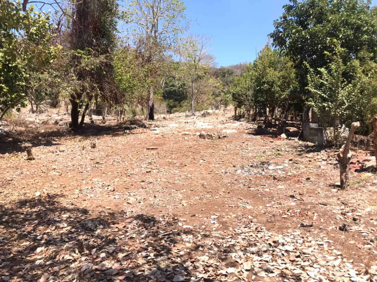 Lote Alfonso