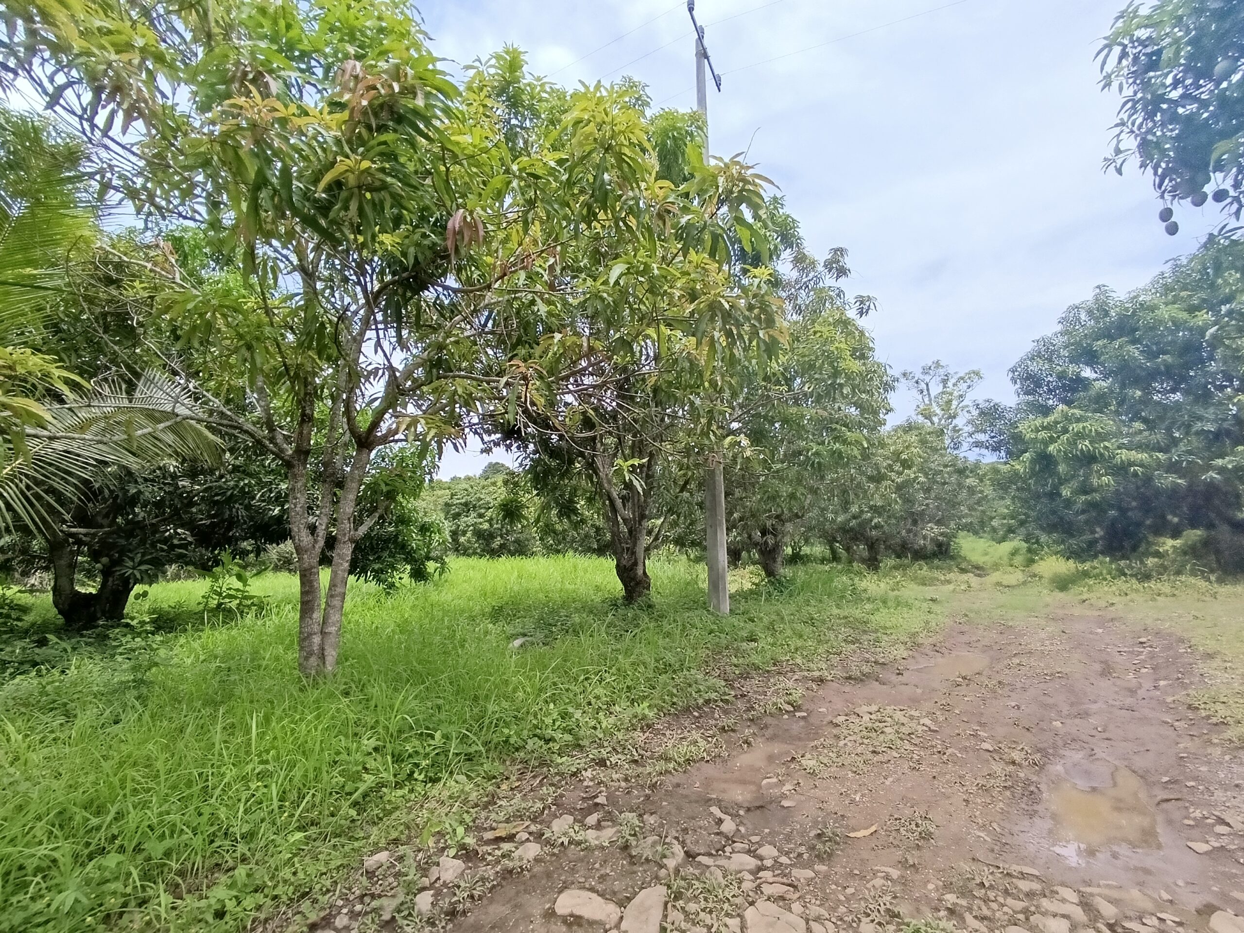 Pequeña Huerta, the Little Orchard