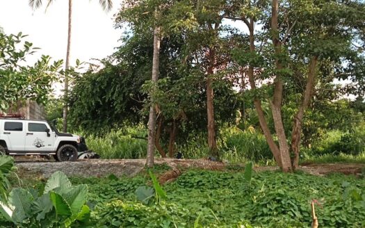 LOTE ARROYO LA PALMA