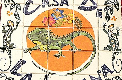 CASA DE LA IGUANA