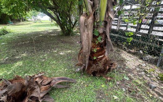 LOTE EL ROJO, FOR SALE PLAYA MATANCHEN