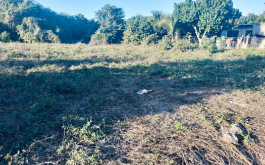 LOTE HUERTA LA MANZANILLA