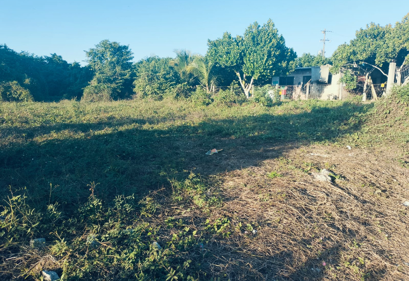 Lote Huerta la Manzanilla