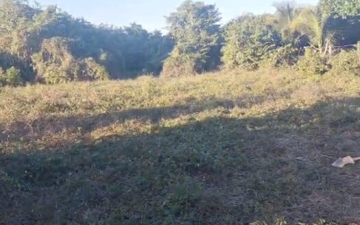 LOTE HUERTA LA MANZANILLA