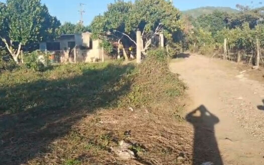 LOTE HUERTA LA MANZANILLA