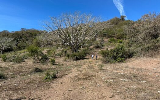 RANCHO SANDOVAL, LO DE MARCOS