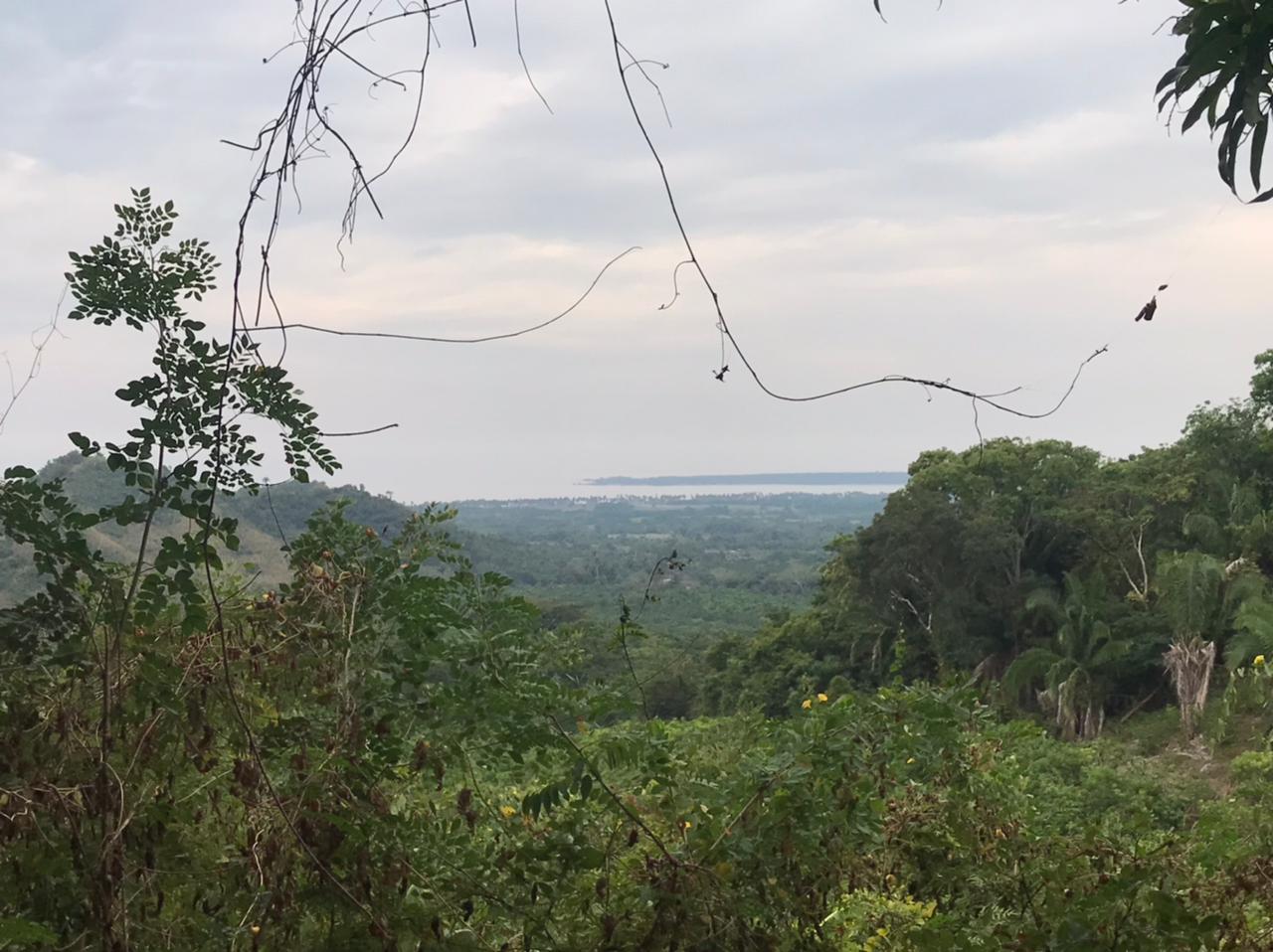 Parcela la Barranca