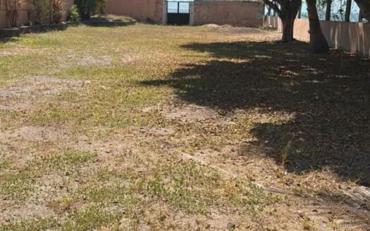 LOTE CORAZON DE MATANCHEN