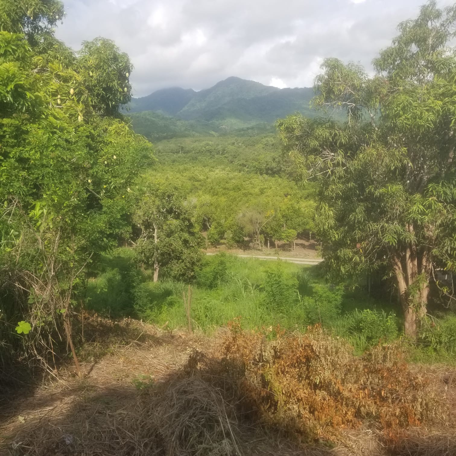 Lote Vista Aticama
