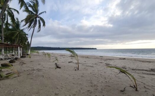 LOTE PLAYA LIMONCITO