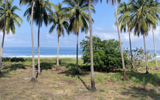 Exceptional Beachfront Development Opportunity, Playa El Limoncito, Matanchen Bay, Nayarit
