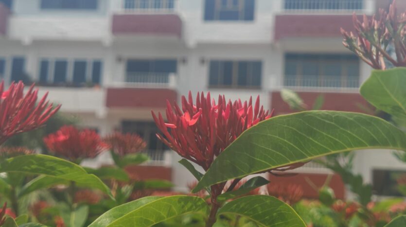 CONDO PARAÍSO DEL MAR