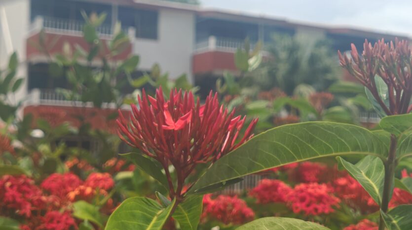 CONDO PARAÍSO DEL MAR