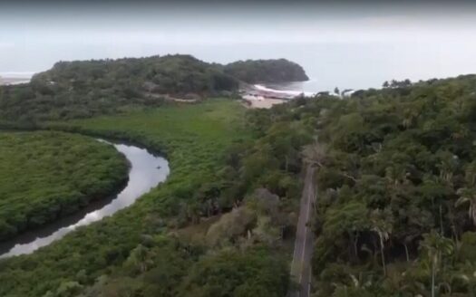LOTE VISTA LOS PLATANITOS