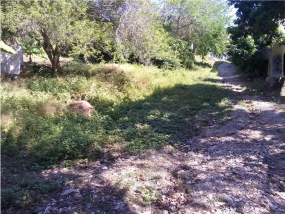 Lote Aticama