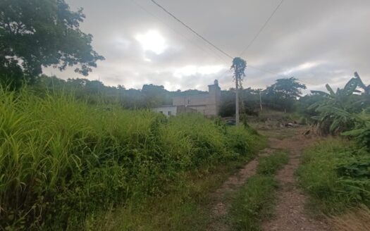 LOTE TEPIQUEÑO