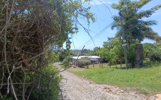 LOTE SALOME