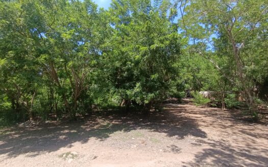 LOTE LA HERMANA II