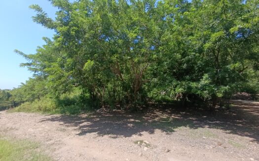 LOTE LA HERMANA II