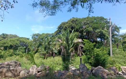 LOT VAQUEIRO