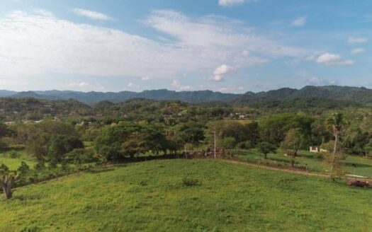 LOTE LO DE MARCOS