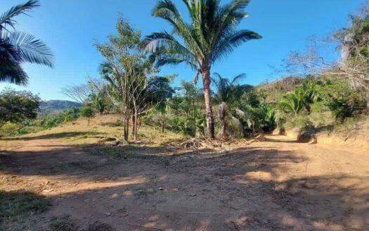 LOTE LO DE MARCOS