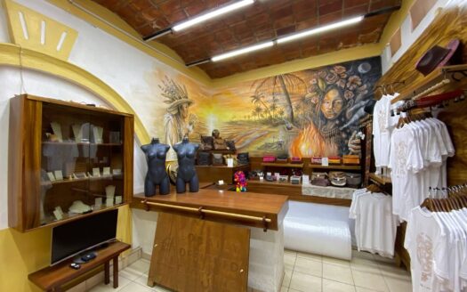 ATAUA Huichol Gallery